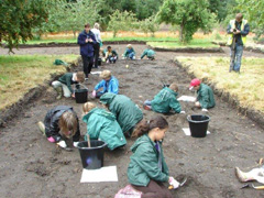 Example of a Community Dig